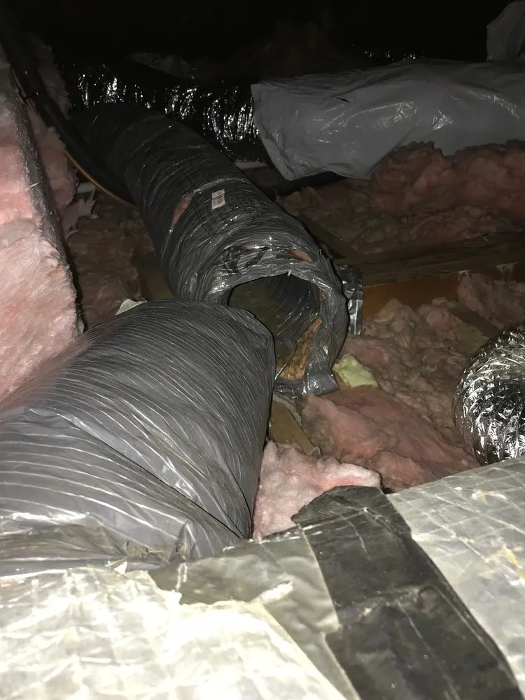 Professional HVAC maintenance near you across Forest Hill, MD - Blue Dot Services