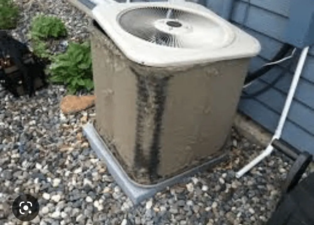 Slide of Blue Horizon