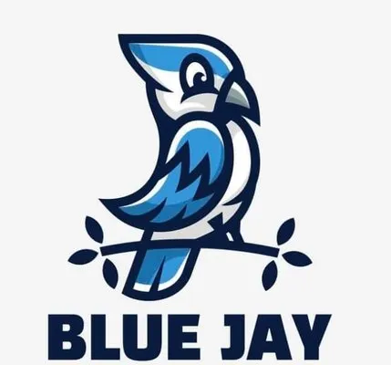 Blue Jay