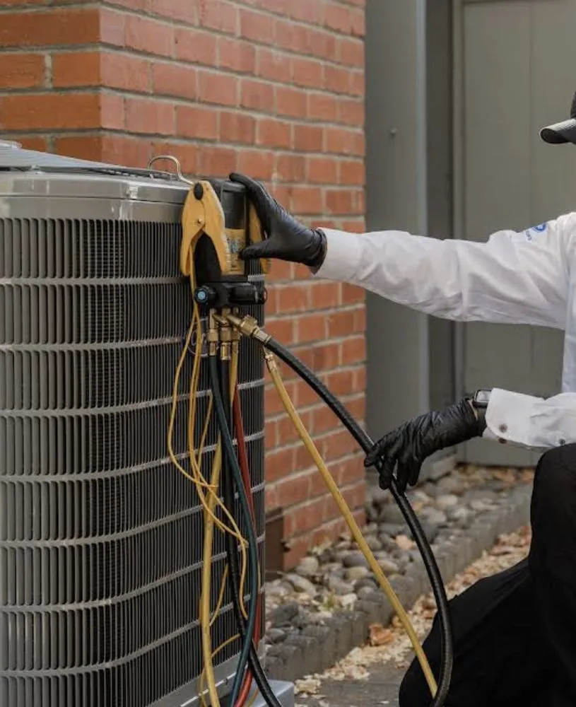 Slide of Blue Moon Home Services