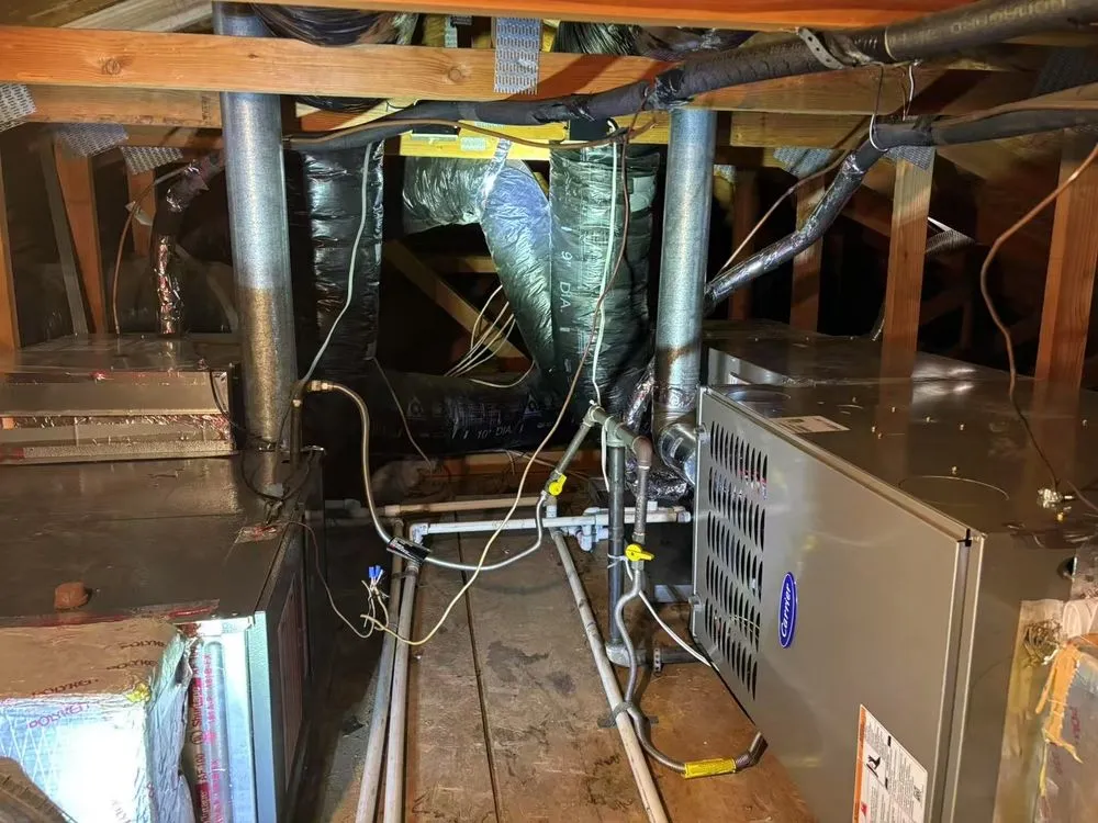 Slide of Blue Moon Home Services