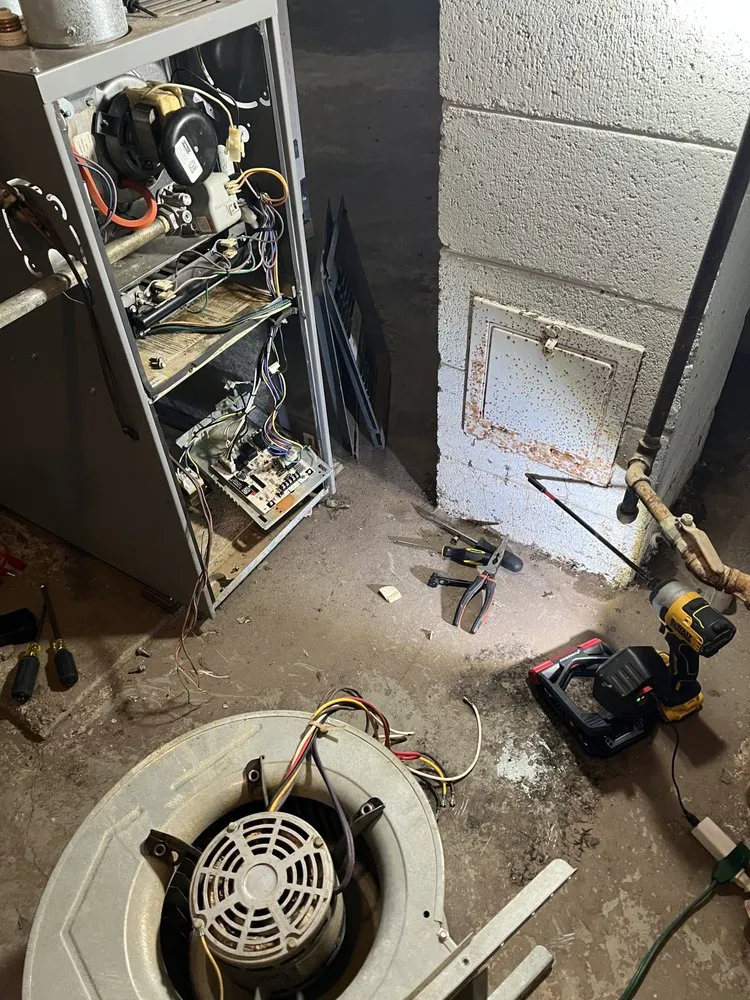 Slide of Blue Orchid Construction