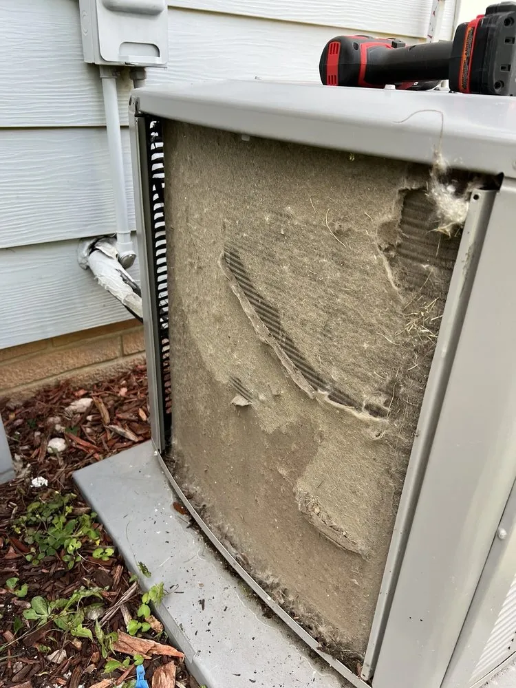 Slide of Blue Orchid Construction