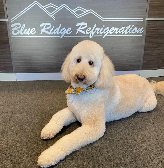 Slide of Blue Ridge Refrigeration