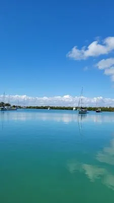 Blue Water Marine Air Conditioning & Refrigeration Logo