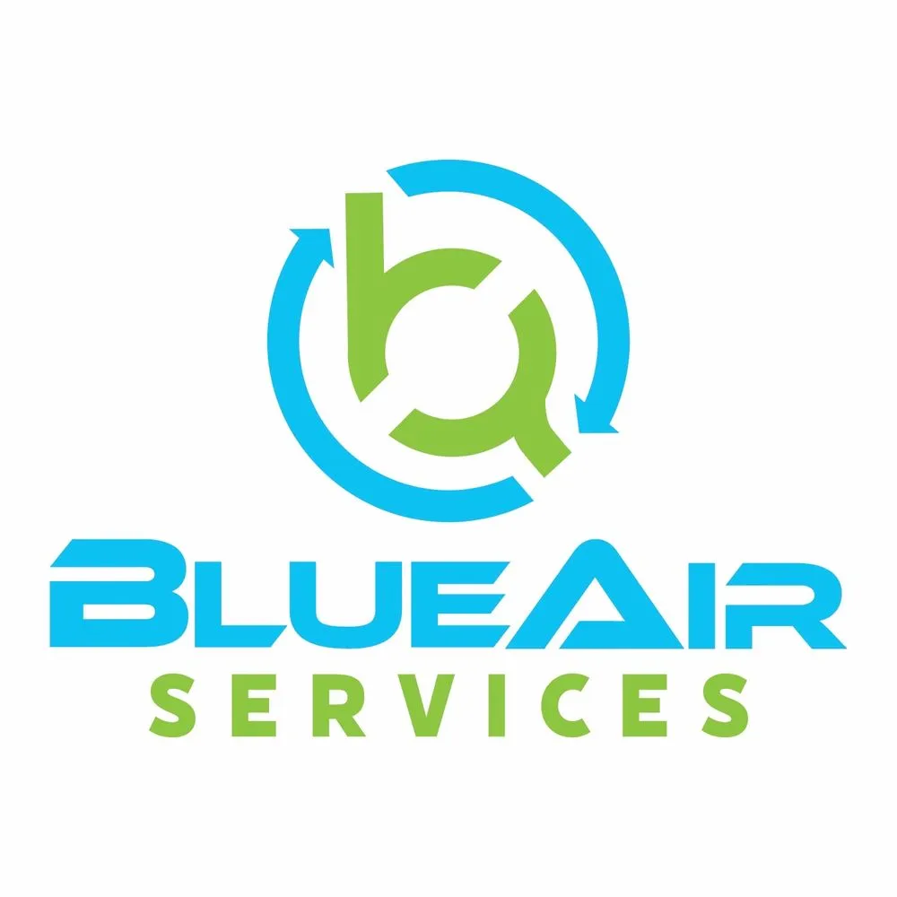 Slide of BlueAir Services