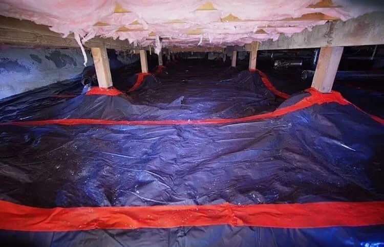 Slide of Blueberry Air