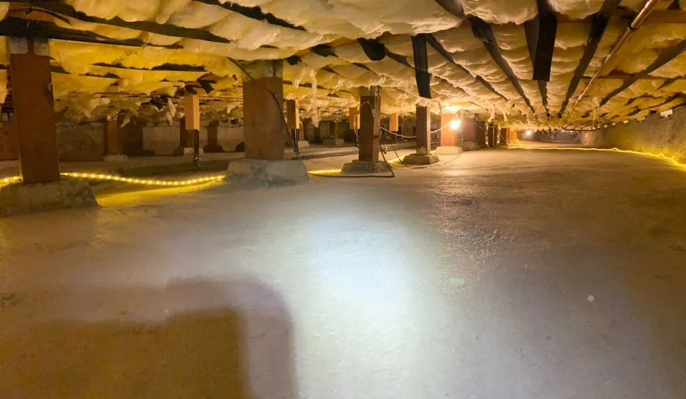 Slide of Blueberry Air