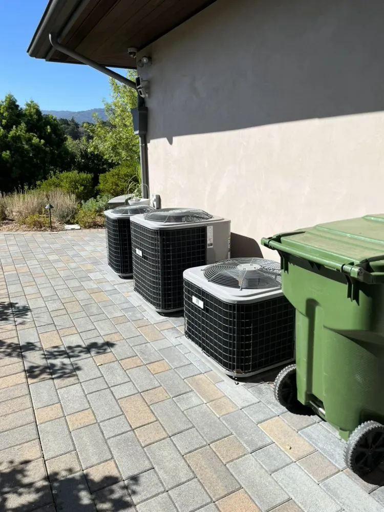 Slide of Blueberry Air