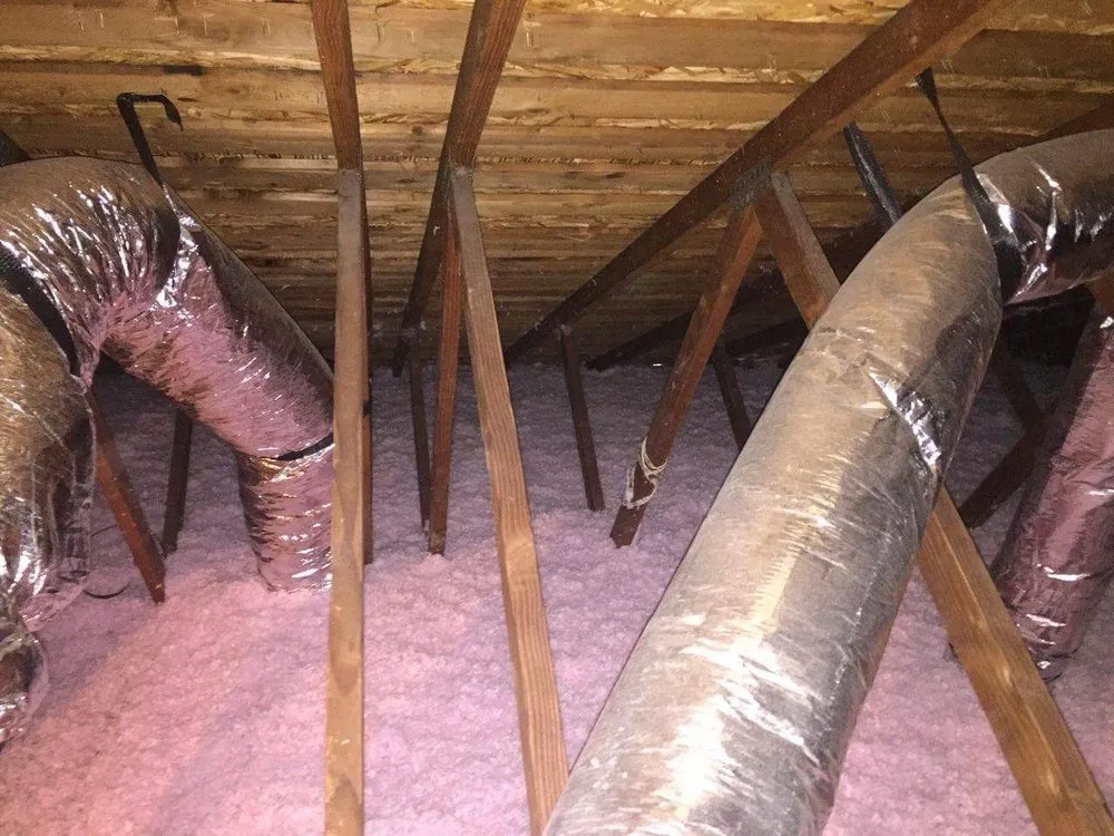 Slide of Blueberry Air