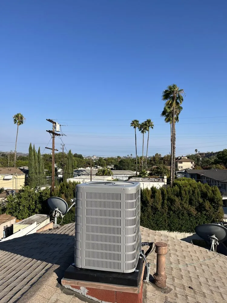 Slide of Blueberry Air