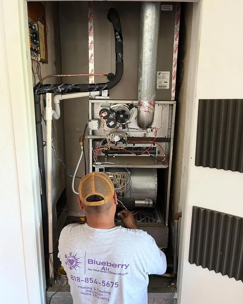 Slide of Blueberry Air