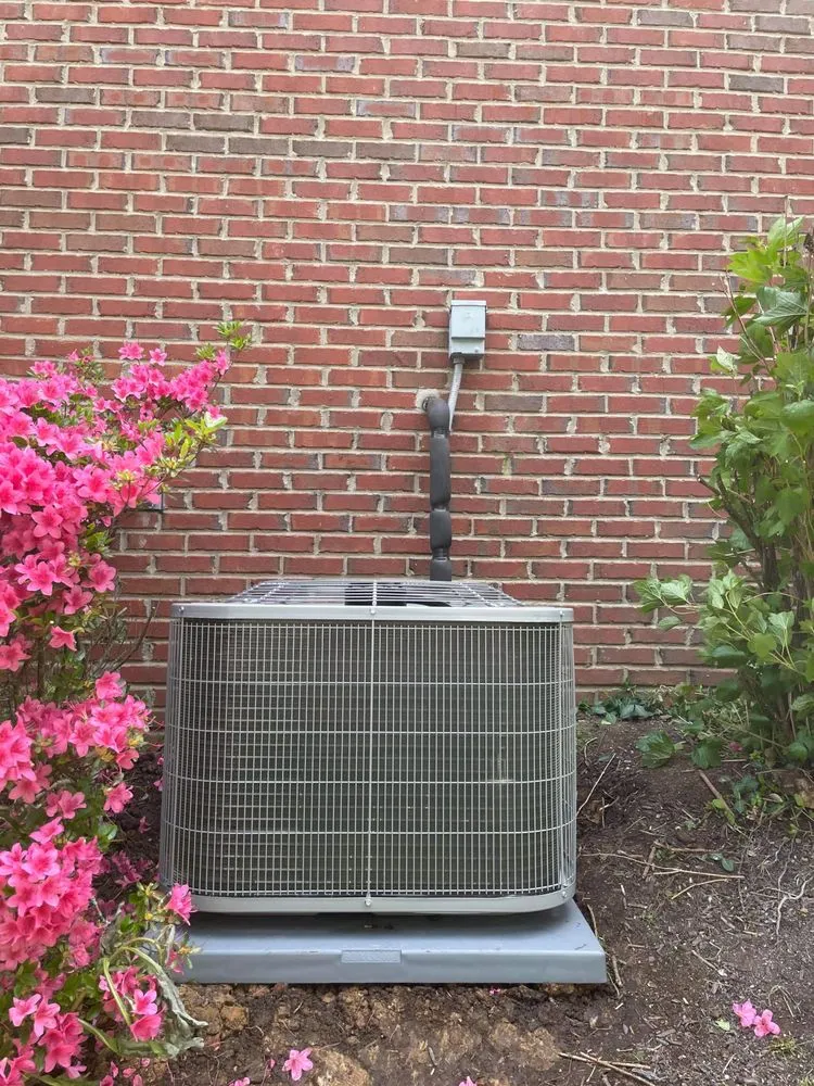 Slide of Bluegrass Breeze