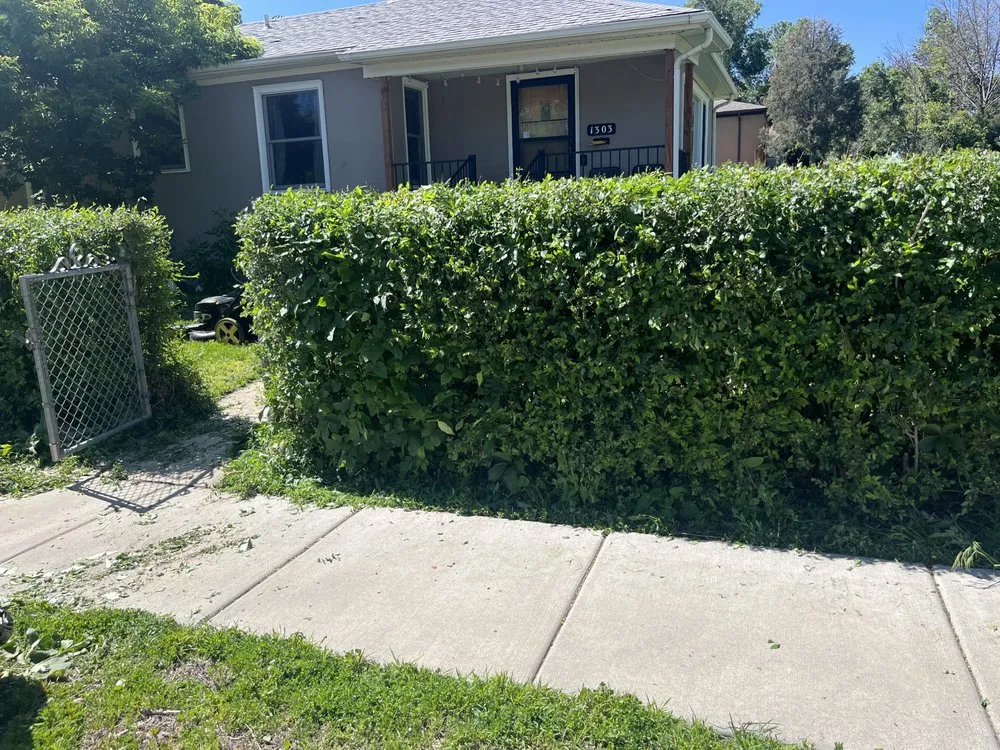 Slide of Bluestrip Enterprise