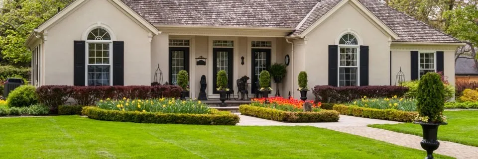 Slide of Bluestrip Enterprise