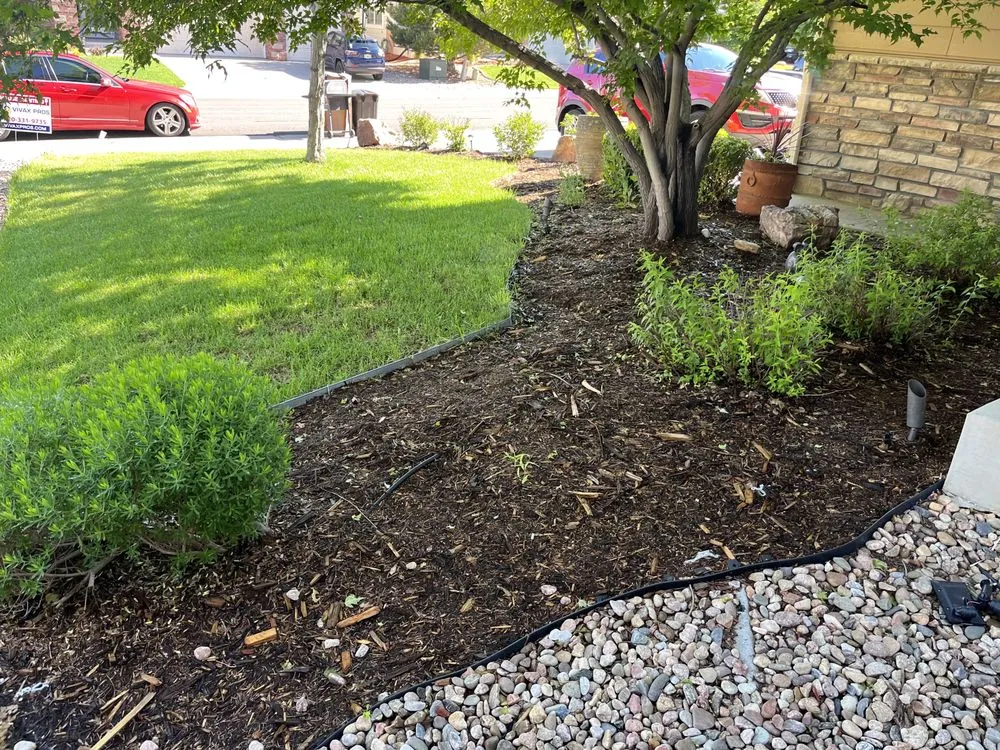 Slide of Bluestrip Enterprise