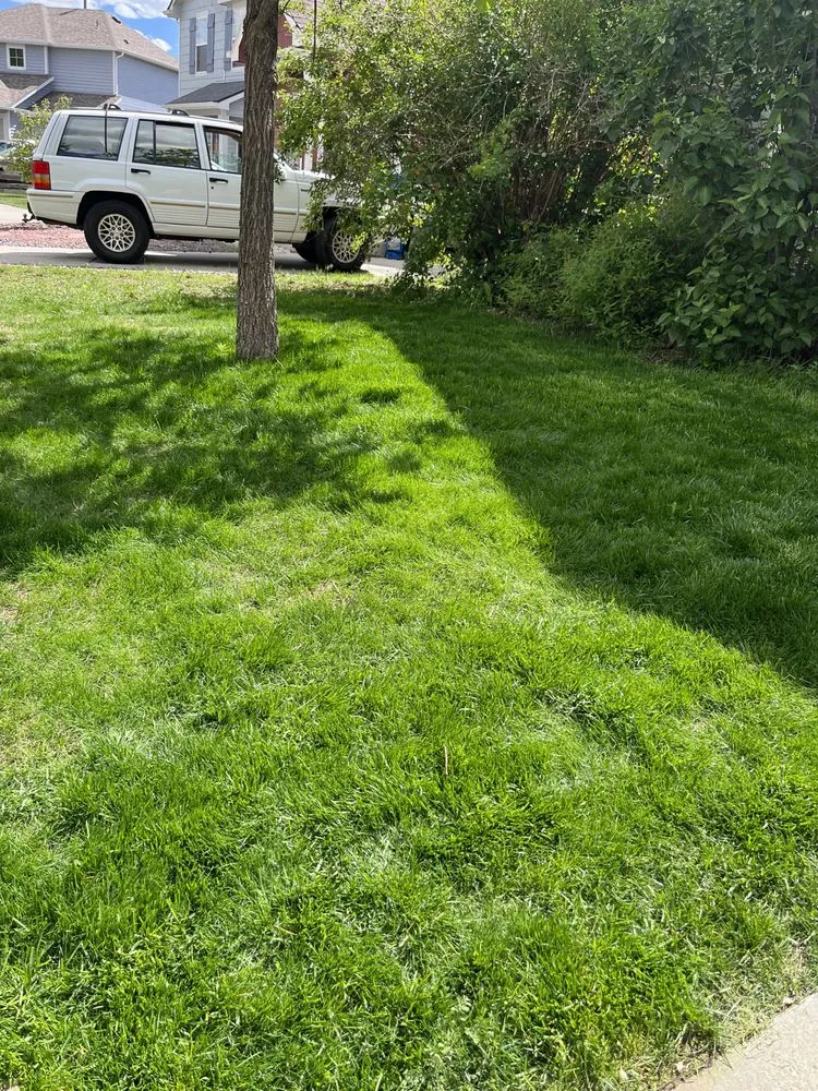 Slide of Bluestrip Enterprise