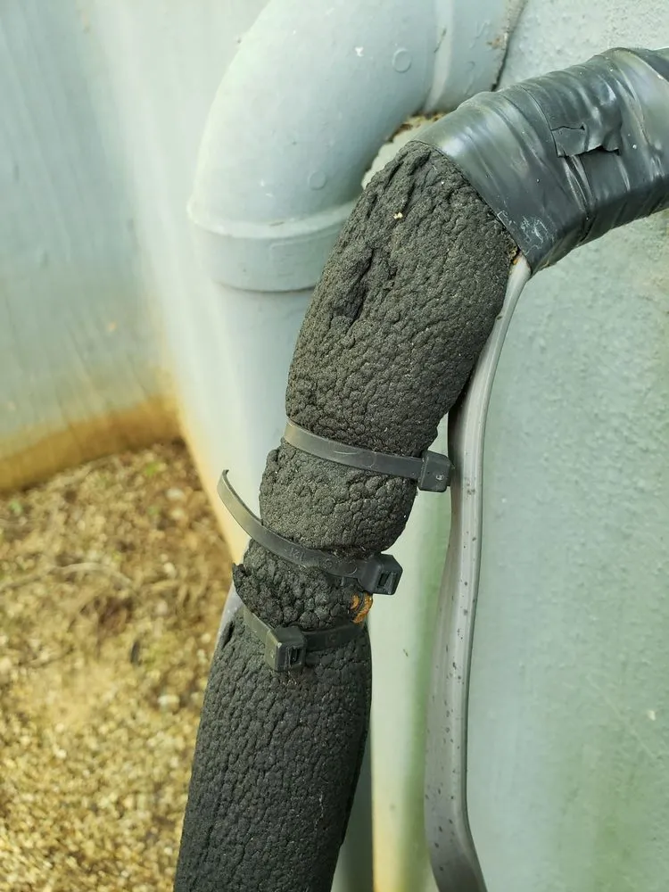 Slide of BM & Michaels