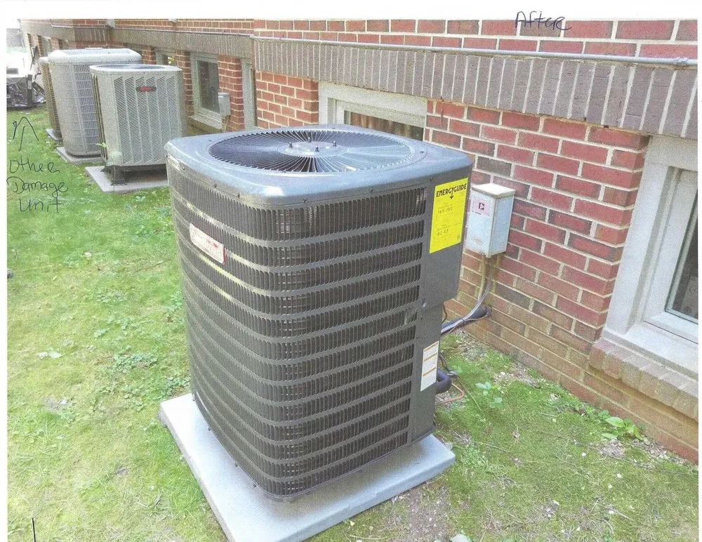 Slide of BM & Michaels