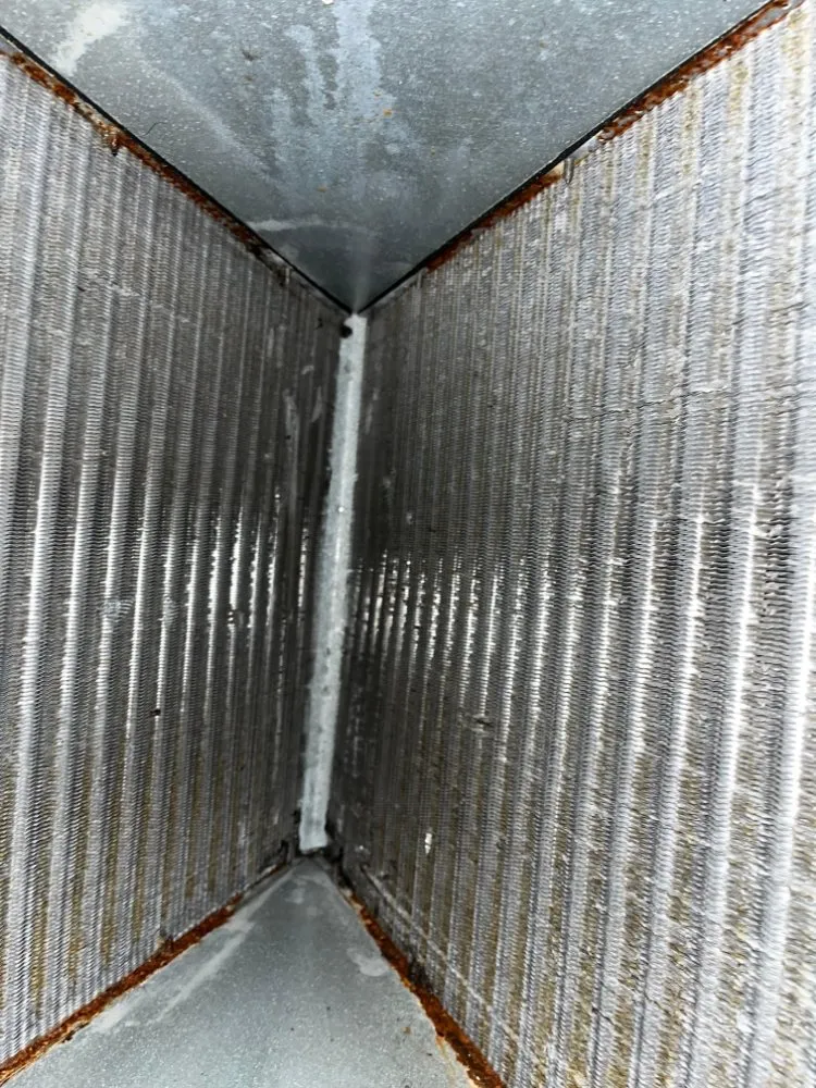 Slide of B&M Service