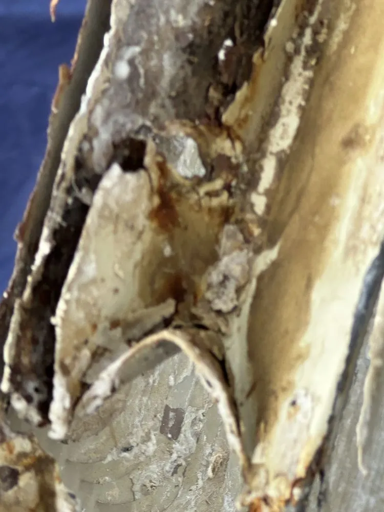 Slide of Bobs Cooling and Heating