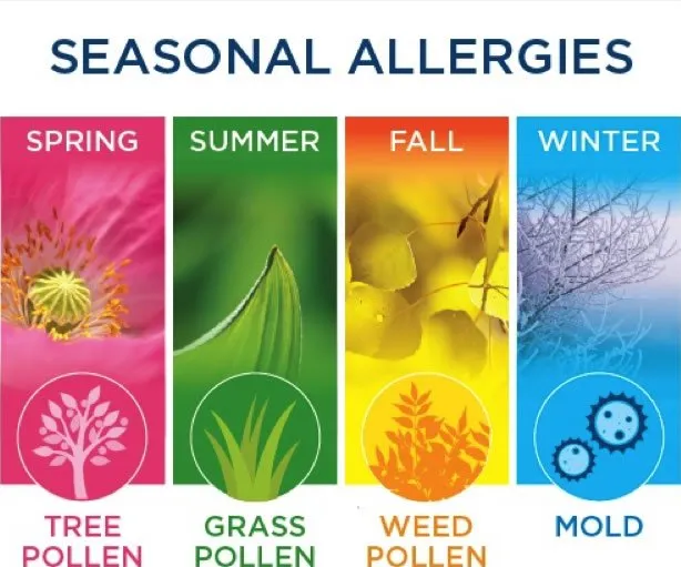 Slide of Bock Services