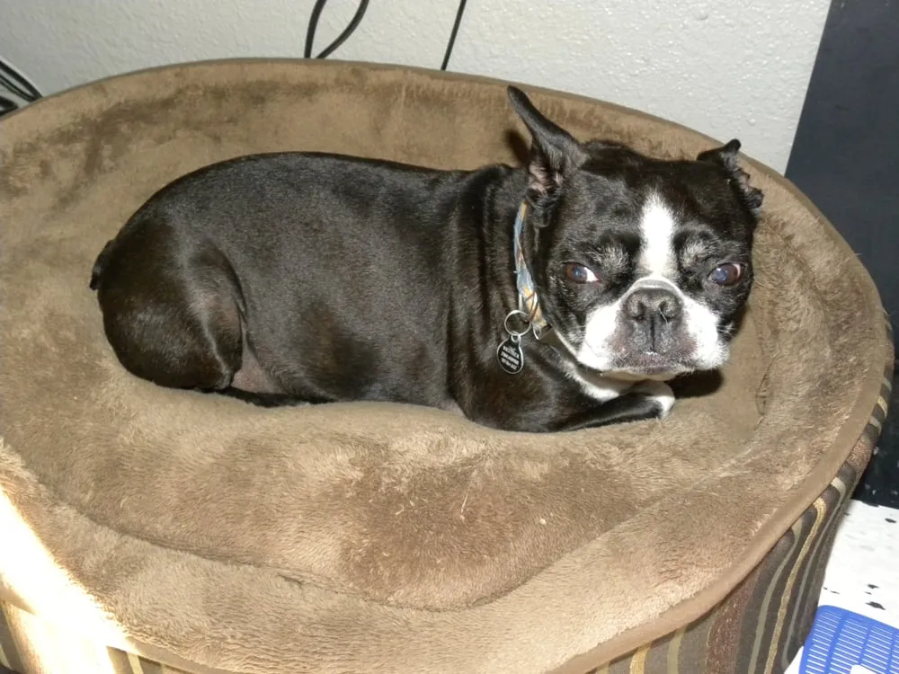 Slide of Boden Plumbing Heating & Air