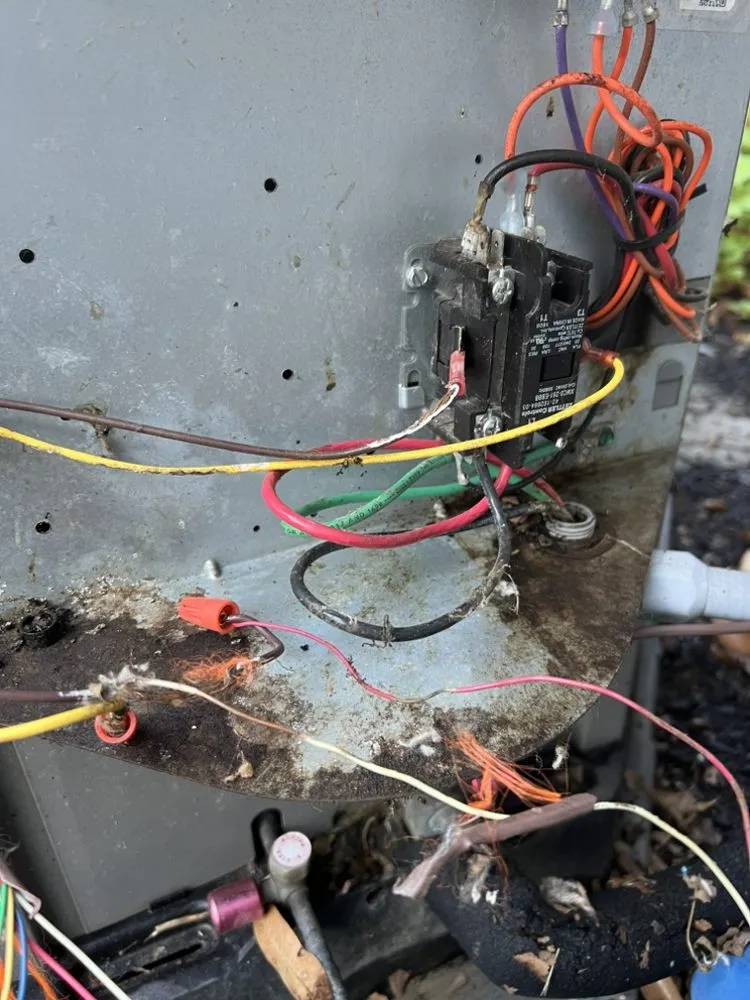 Slide of Boggess Diagnostics