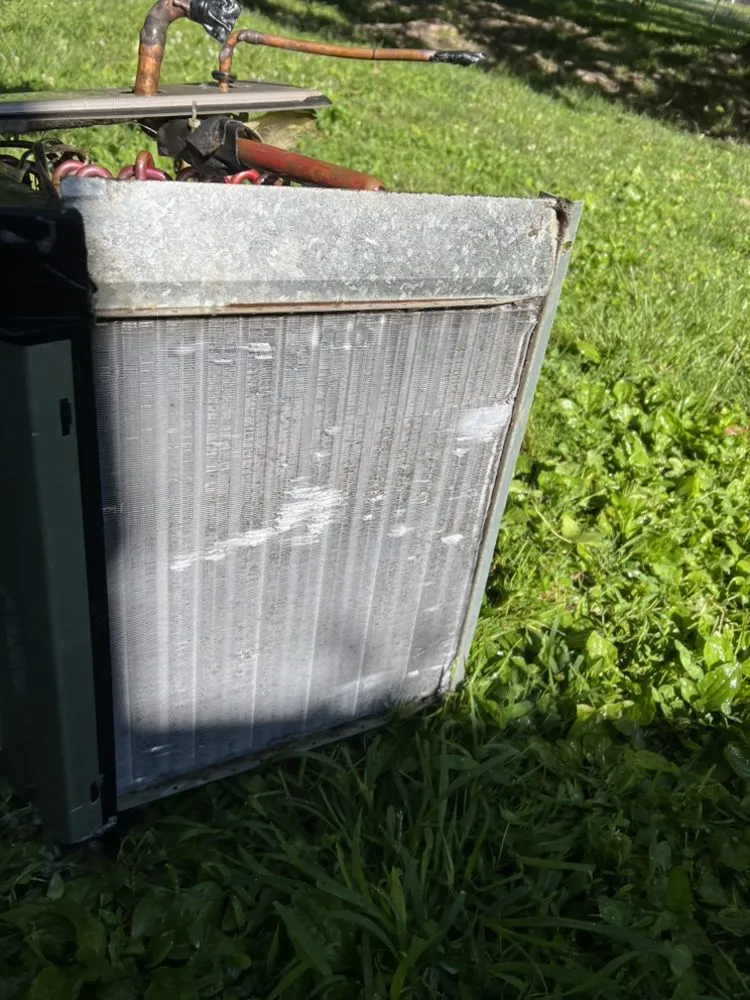 Slide of Boggess Diagnostics