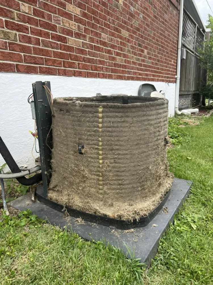 Slide of Boggess Diagnostics