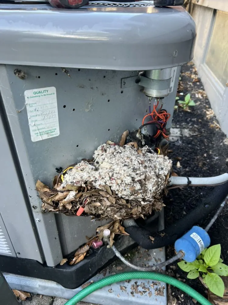 Slide of Boggess Diagnostics