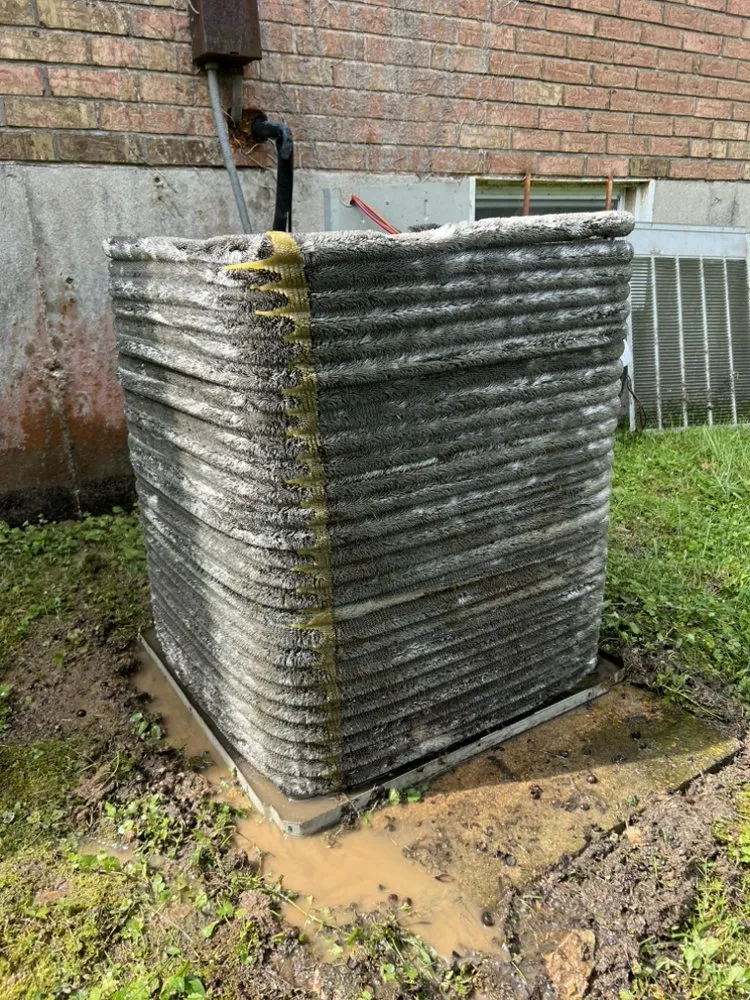 Slide of Boggess Diagnostics