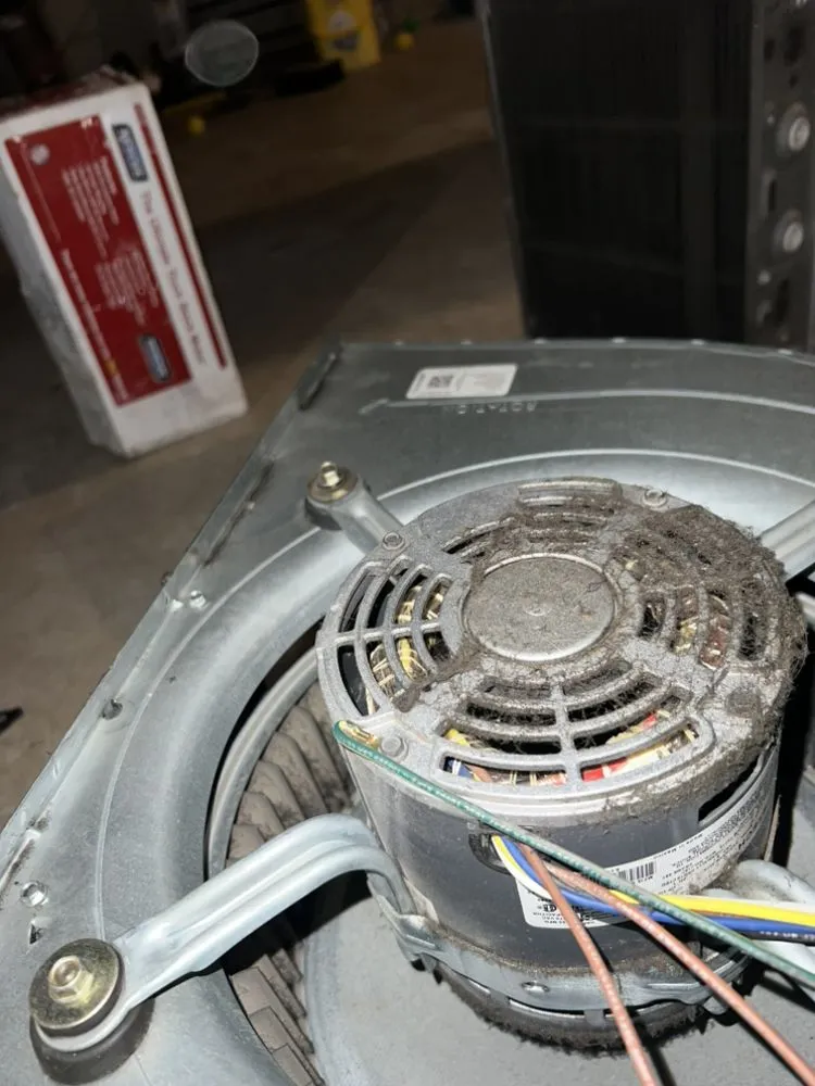 Slide of Boggess Diagnostics