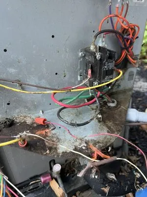 Boggess Diagnostics Logo