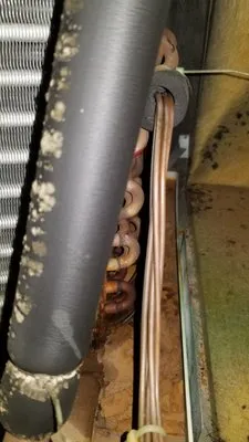 Bohannon Service company