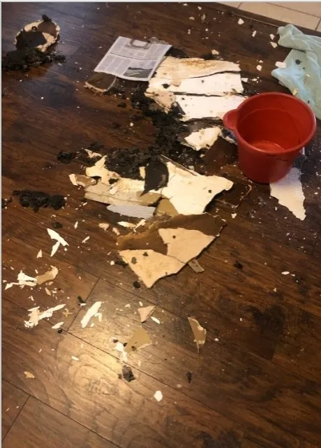 Slide of Bohannon Service