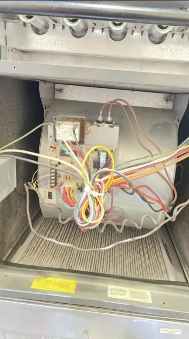 Slide of Bone Dry & Sons