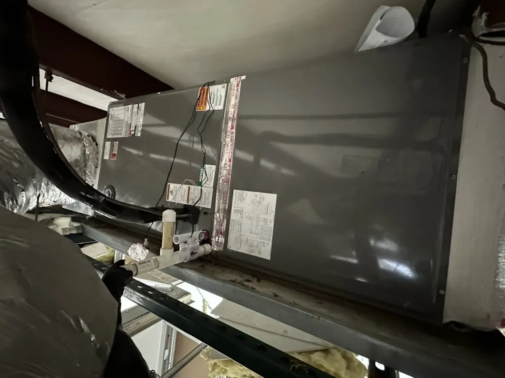 Slide of Bones Heating & Cooling