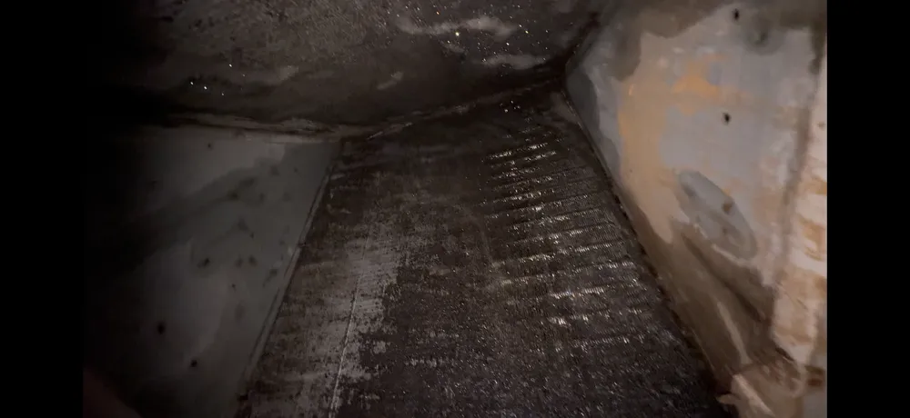 Slide of Bonez Company