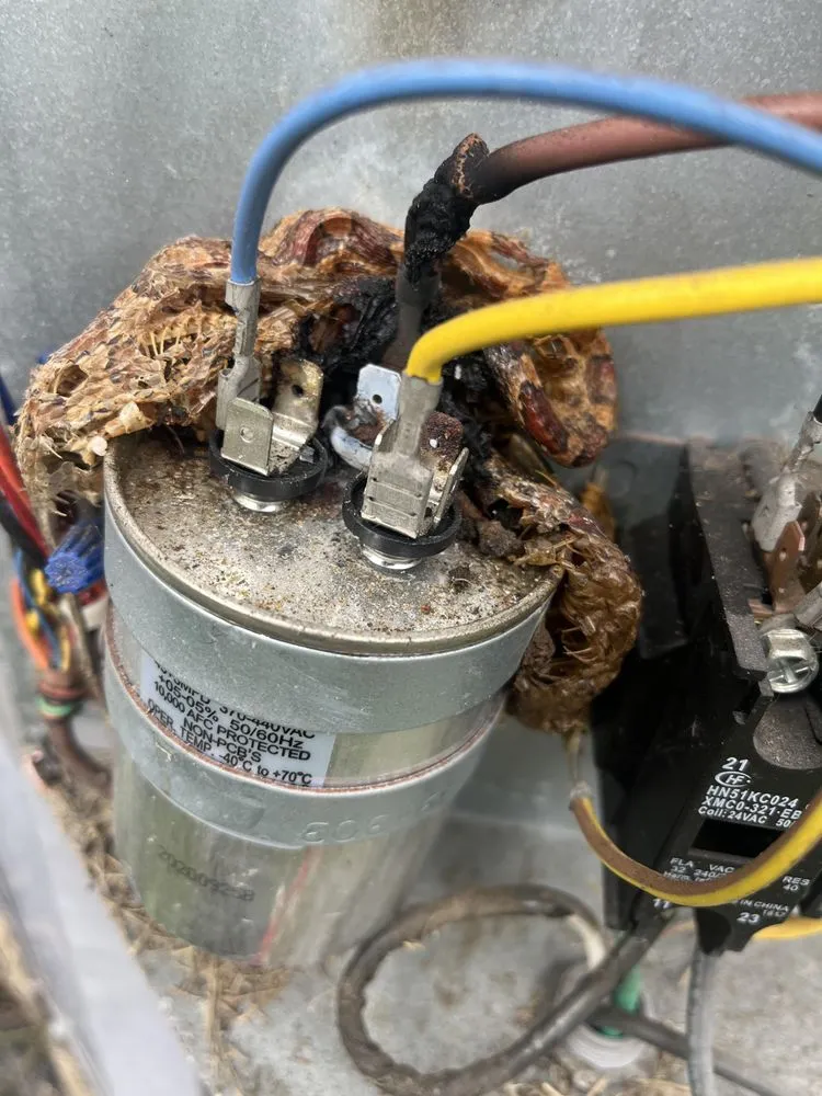 Slide of Bonomo Home Services