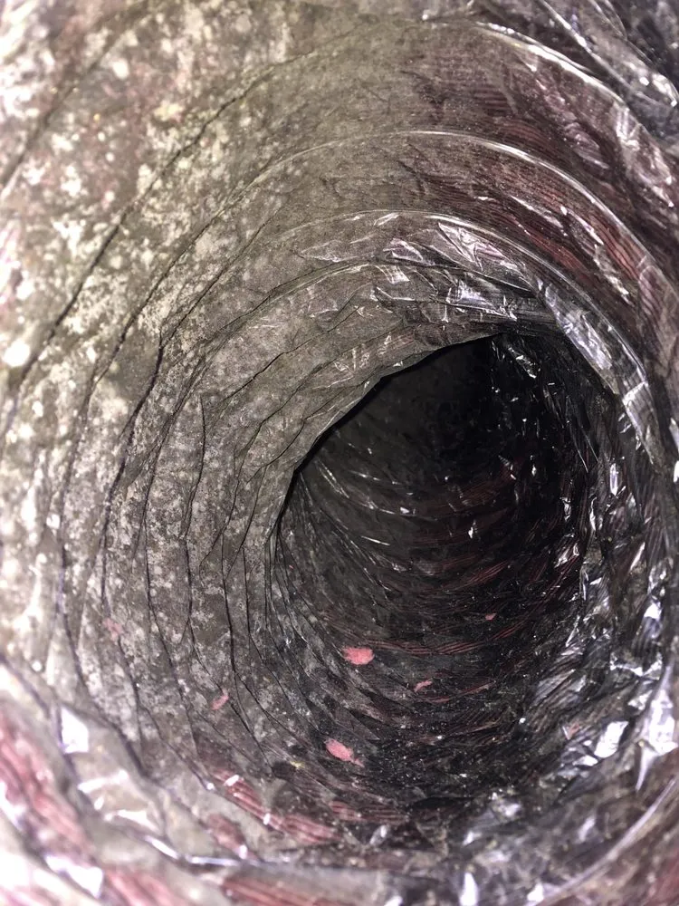 Slide of Bonomo Home Services