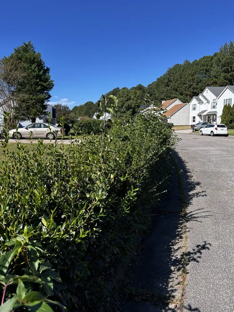 Slide of Boone Wayne Enterprises