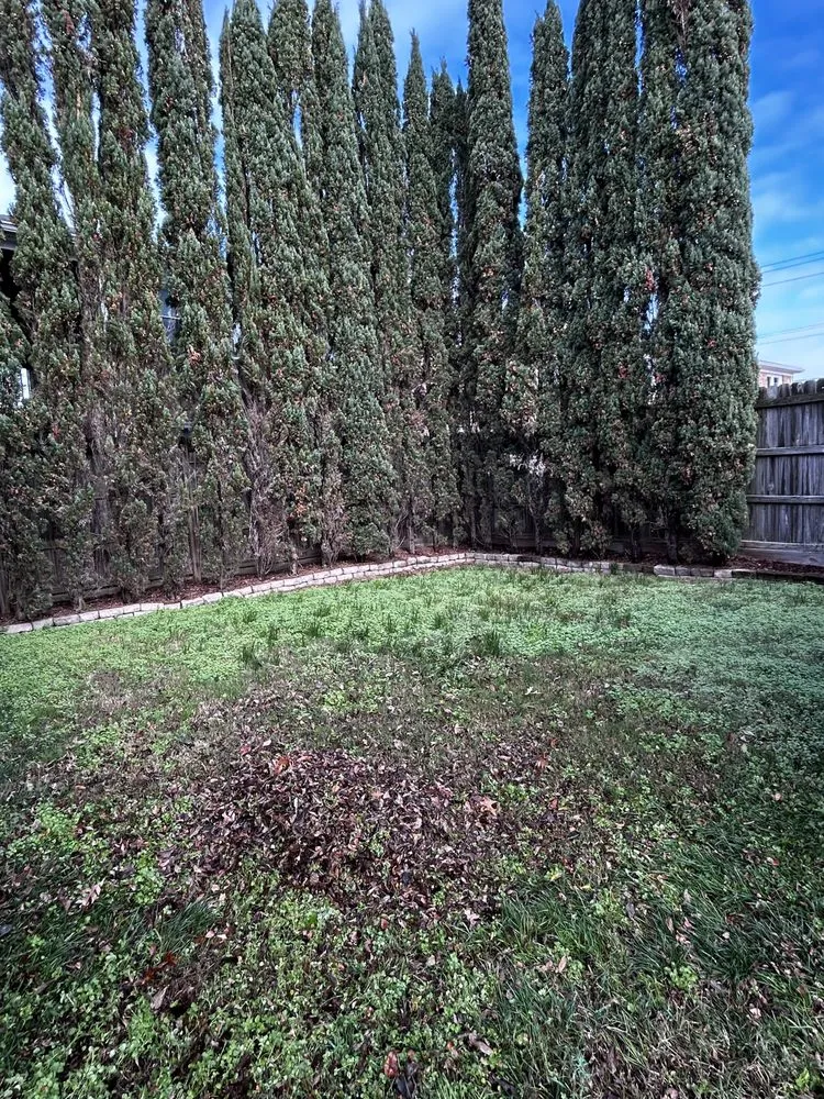 Slide of Boone Wayne Enterprises