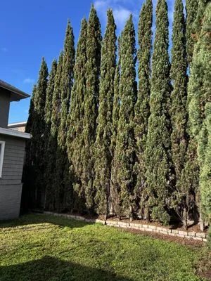 Boone Wayne Enterprises Logo