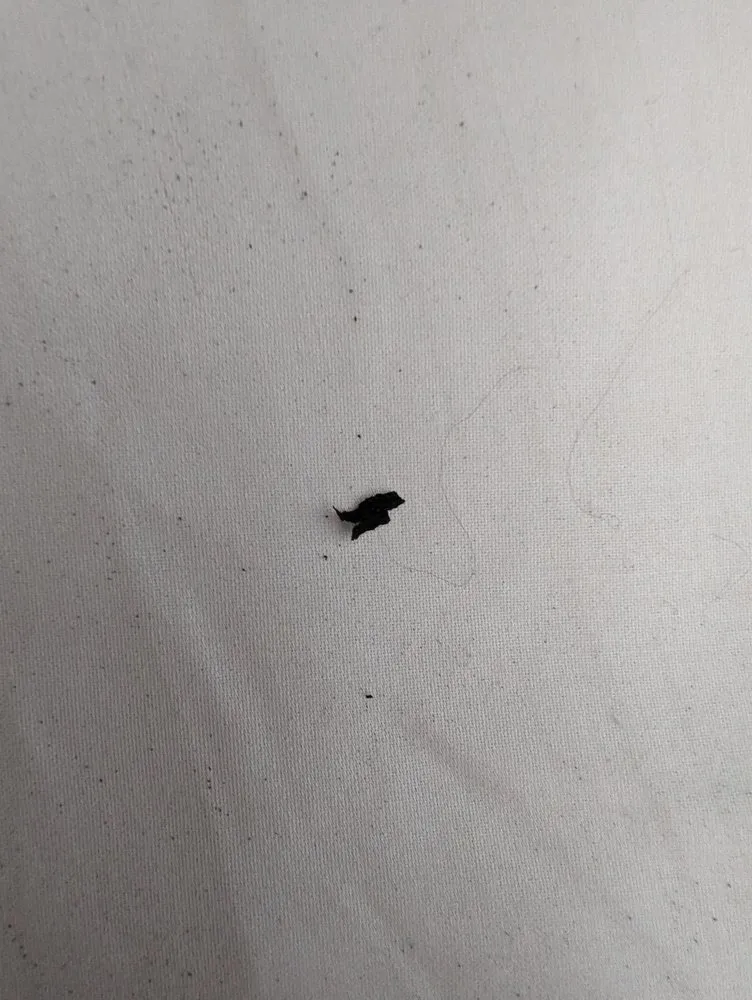 Slide of Boothe’s Heating, Air, Plumbing, Drains & Electrical