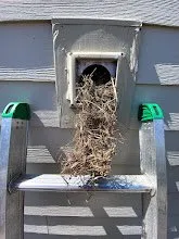 Slide of Boston Air Duct Cleaning