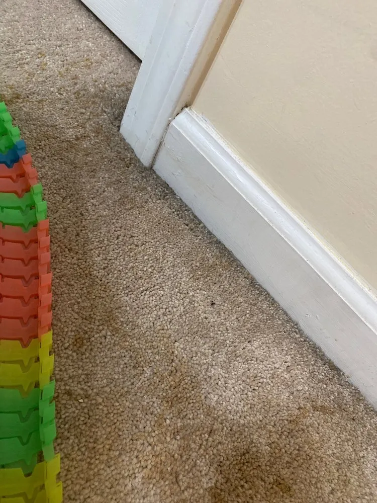 Slide of Bottini Fuel