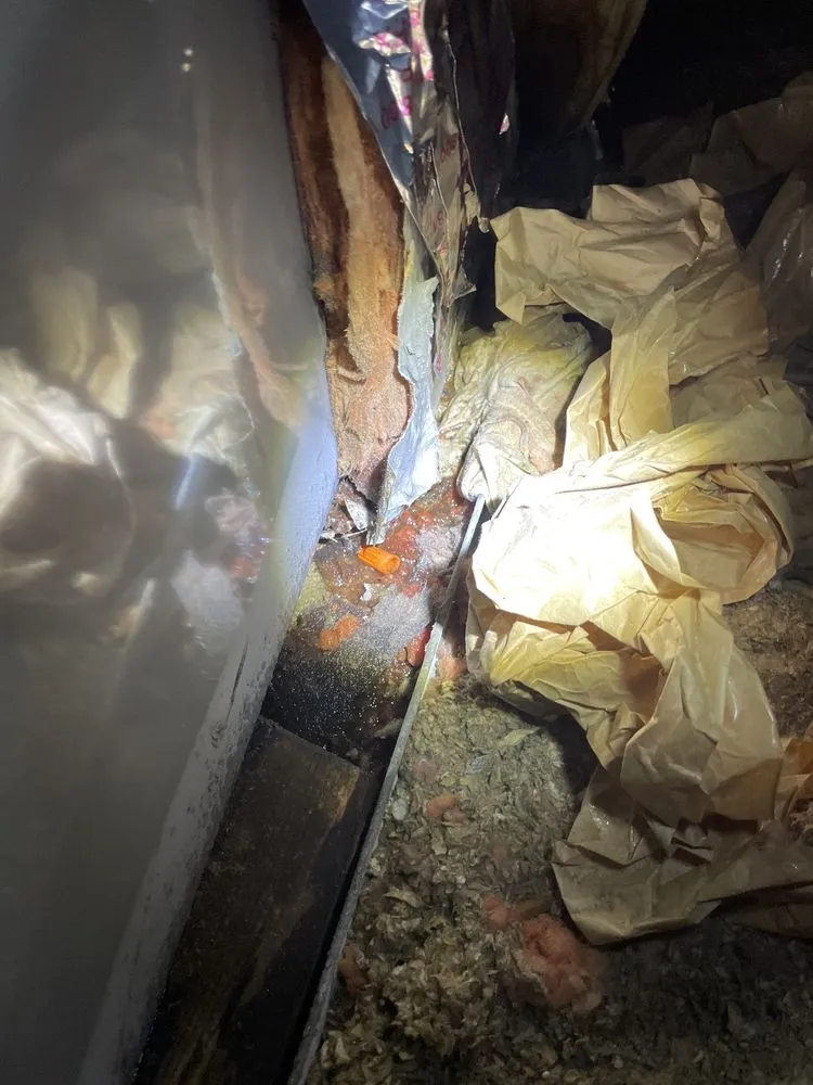 Slide of Boutwell's Air Masters