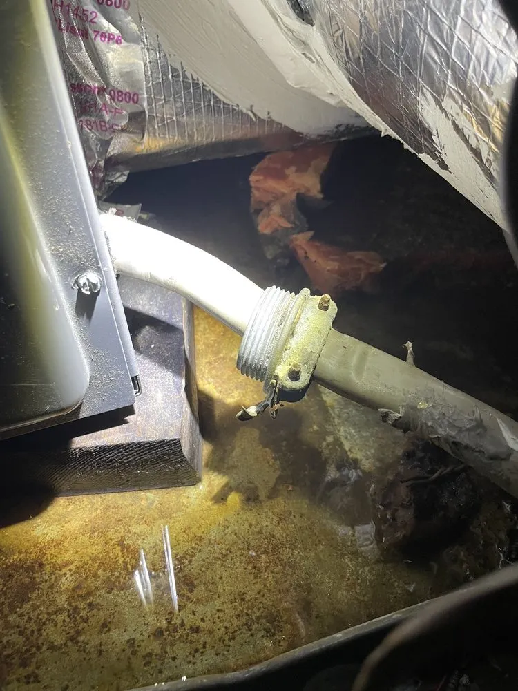 Slide of Boutwell's Air Masters