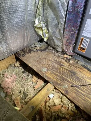 Boutwell's Air Masters